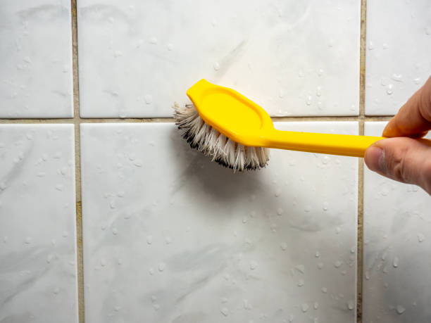 Best Affordable Mold Removal  in Frankton, IN