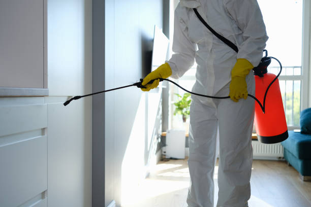 Best Mold Damage Repair  in Frankton, IN